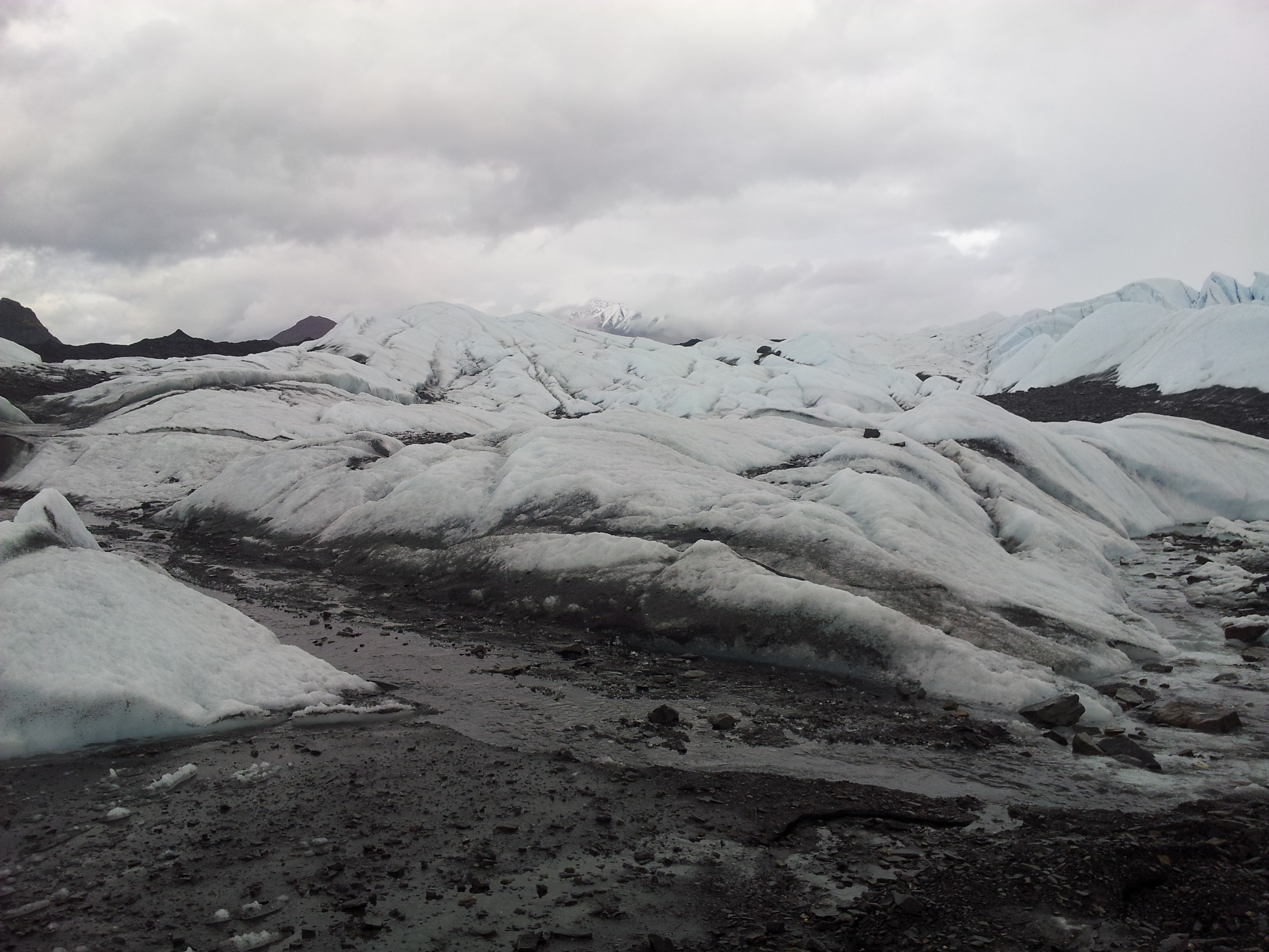 한국.미국 305.jpg