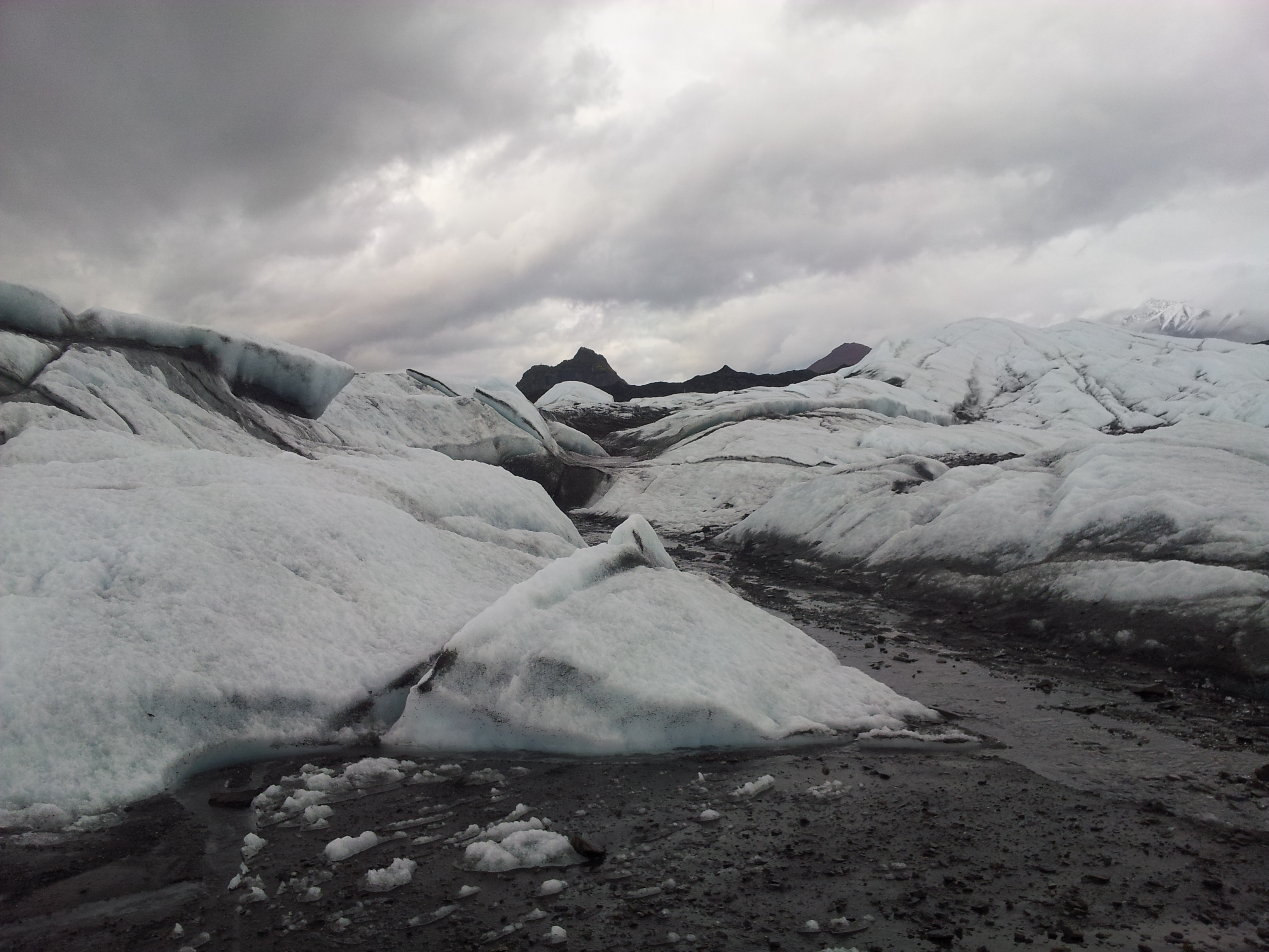 한국.미국 304.jpg